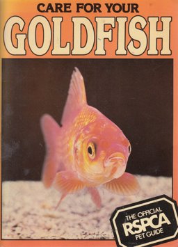 Care for Your Goldfish