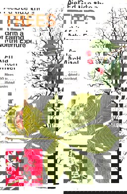 A Field Guide to the Trees of Britain and Northern Europe