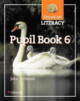 Pupil Textbook 6