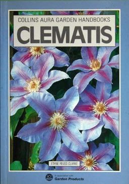 Clematis