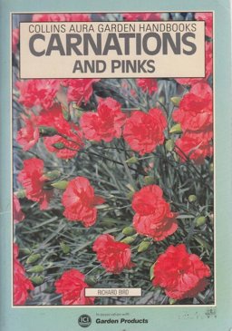 Carnations and Pinks