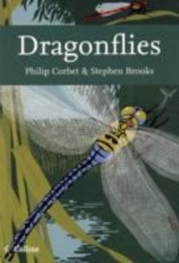 Dragonflies