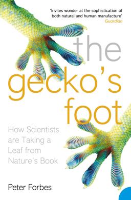 Gecko's Foot How Scientists Are Taking a Leaf from Nature's Book  9780007179893 Front Cover