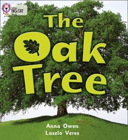 The Oak Tree: Band 02B/Red B (Collins Big Cat)