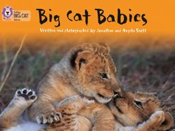 Big Cat Babies: Band 05/Green (Collins Big Cat)