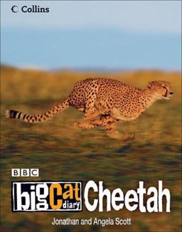 Cheetah