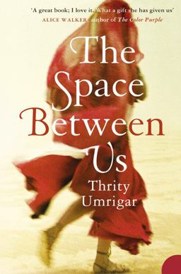The Space Between Us  9780007212330 Front Cover