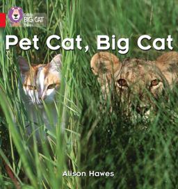 Pet Cat, Big Cat: Band 02A/Red a (Collins Big Cat Phonics)