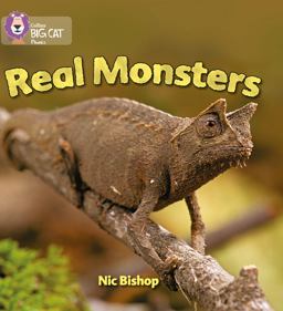 Real Monsters: Band 03/Yellow (Collins Big Cat Phonics)