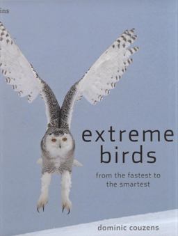 Extreme Birds