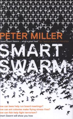Smart Swarm