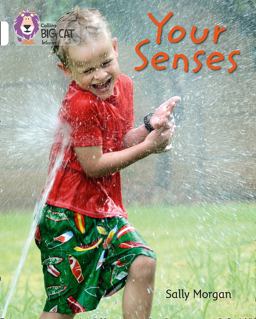 Your Senses: Band 10/White (Collins Big Cat)