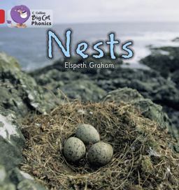 Nests
