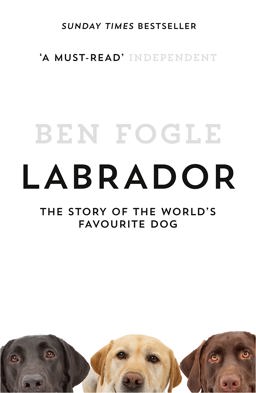Labrador The Story of the World's Favourite Dog  9780007549023 Front Cover