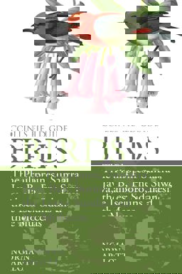 Collins Field Guides Birds of the Philippines  9780008102395 Front Cover