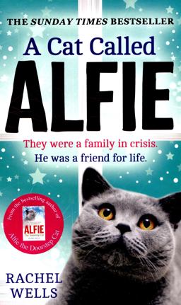 A Cat Called Alfie (Alfie Series, Book 2)