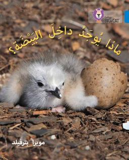 What's in the Egg?: Level 4 (Collins Big Cat Arabic Reading Programme)