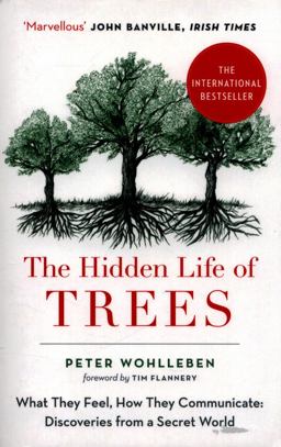 Hidden Life of Trees What They Feel, How They Communicate  9780008218430 Front Cover