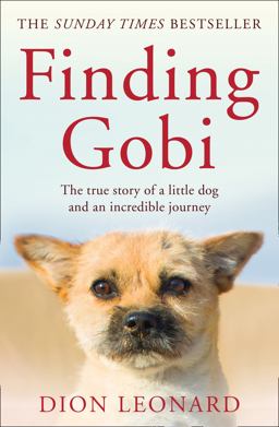 Finding Gobi The True Story of a Little Dog and an Incredible Journey  9780008227968 Front Cover