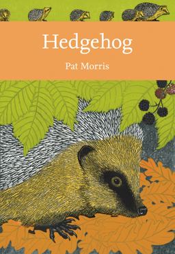 Hedgehog:  9780008235734 Front Cover