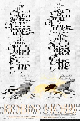 Wilful Princess and the Piebald Prince  9780008245009 Front Cover