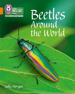 Collins Big Cat Phonics for Letters and Sounds - Beetles Around the World: Band 06/Orange