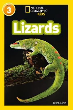 Lizards Level 3  9780008266738 Front Cover