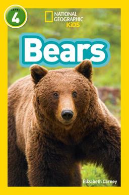 Bears Level 4  9780008266875 Front Cover