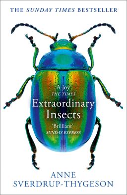 Extraordinary Insects  9780008316372 Front Cover