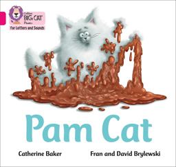 Collins Big Cat Phonics for Letters and Sounds - Pam Cat: Band 01B/Pink B