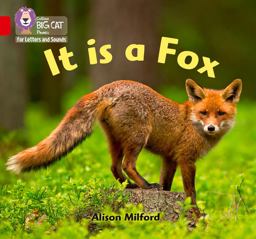 It Is a Fox