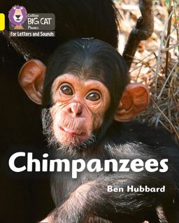 Collins Big Cat Phonics for Letters and Sounds - Chimpanzees: Band 03/Yellow