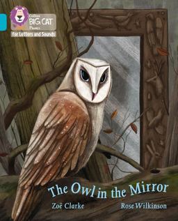 Collins Big Cat Phonics for Letters and Sounds - the Owl in the Mirror: Band 07/Turquoise