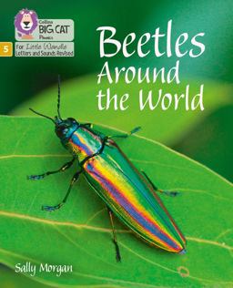 Beetles Around the World: Phase 5 Set 4 (Big Cat Phonics for Little Wandle Letters and Sounds Revised)