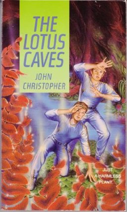 The Lotus Caves
