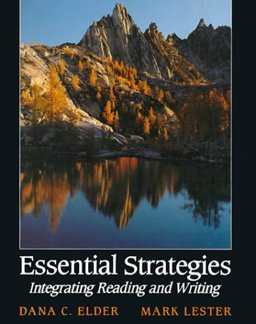 Essential Strategies