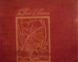 The Birds of America The Birds of America