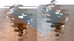 Understanding Flying