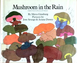 Mushroom in the Rain