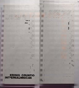 Looking Out/Looking In