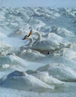 Environmental Science Environmental Science