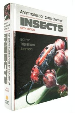Introduction to the Study of Insects 6th 9780030253973 Front Cover