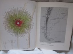 Darwin and the Beagle