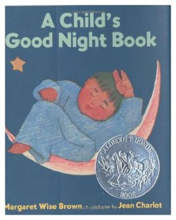 A Child's Good Night Book