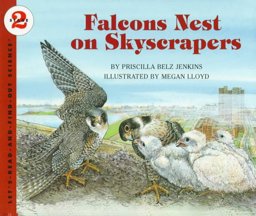 Falcons Nest on Skyscrapers