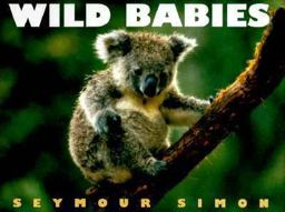 Wild Babies