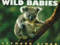 Wild Babies