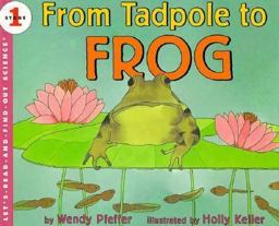 From Tadpole to Frog