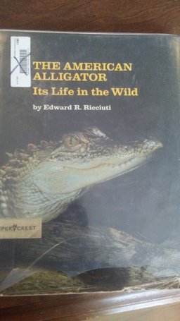 The American Alligator