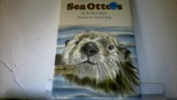 Sea Otters